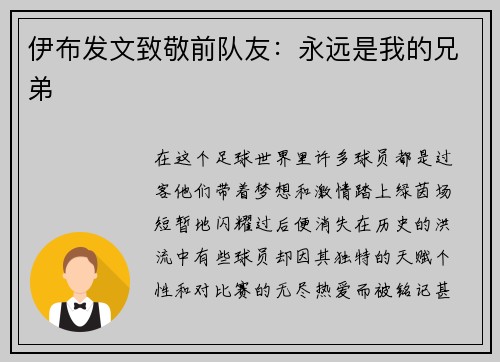 伊布发文致敬前队友：永远是我的兄弟
